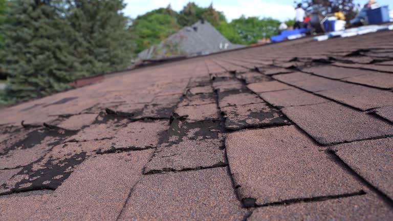 Best Roof Leak Repair  in Canton, SD