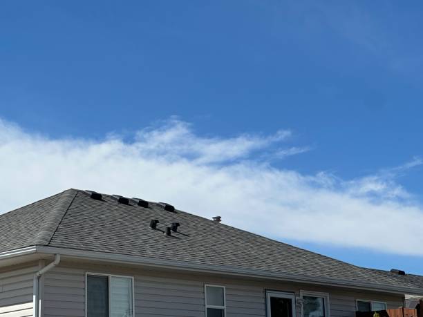 Best Wood Shake Roofing  in Canton, SD